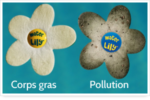 TOUCAN - Water Lily en Vente dans le 83