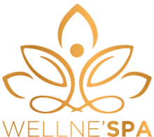Revendeur de Spa BRIGNOLES WELLNE'SPA